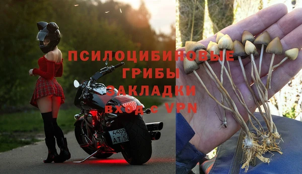 стаф Абдулино