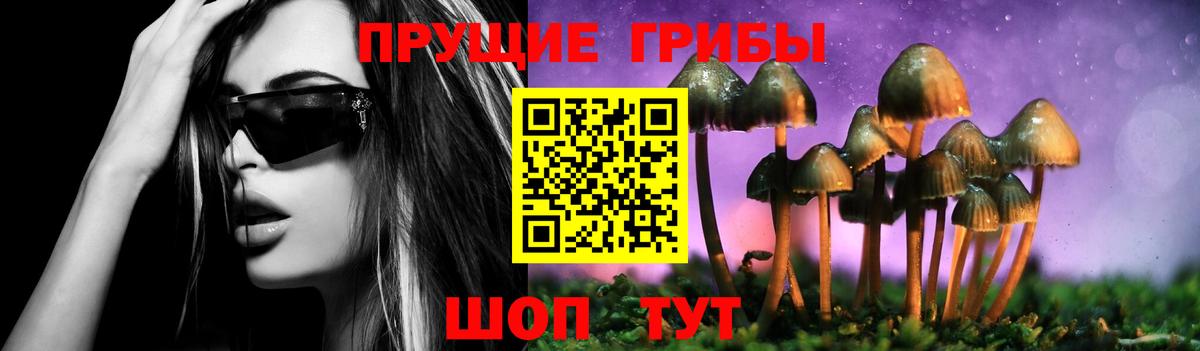 Псилоцибиновые грибы ЛСД Хабаровск